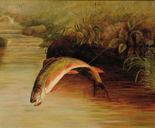 Rainbow Trout Taking A Fly Oil Painting by Samuel A. Kilbourne