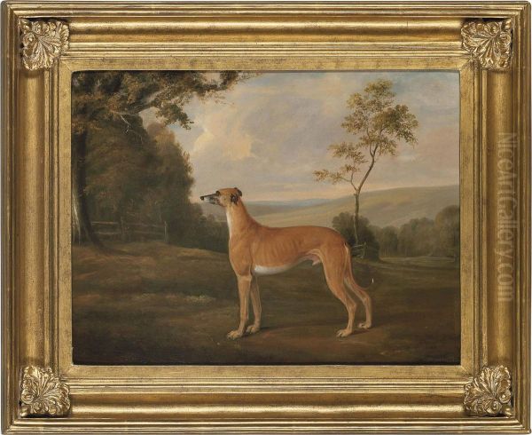 A Greyhound In An Extensive Landscape Oil Painting by Hayter Kinch