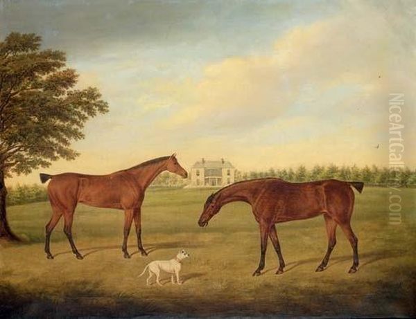 Two Hunters And A Dog In The Grounds Of Boulston House, Near Haverfordwest, Pembrokeshire Oil Painting by Hayter Kinch