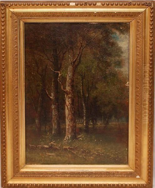 Tree's In Forest Oil Painting by George W. King