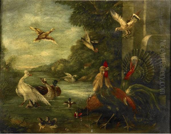 Untitled (exotic Fowl In Landscape) by John King