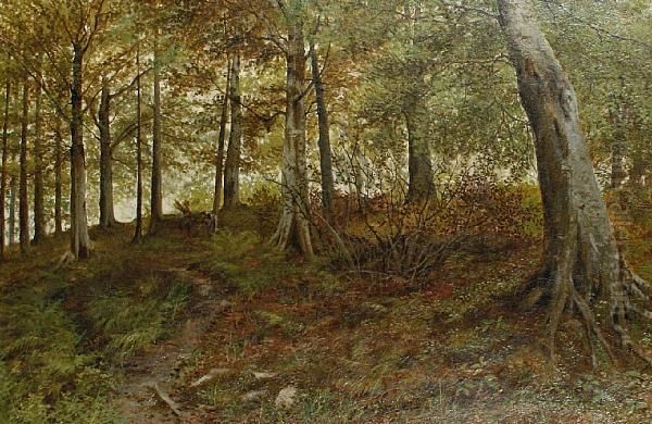 Heaning Wood, Yorkshire Oil Painting by Henry John Kinnnaird