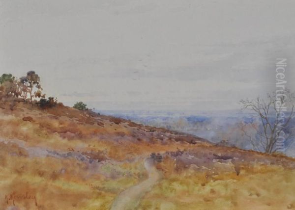 Sandhills, Surrey Oil Painting by Albert Kinsley