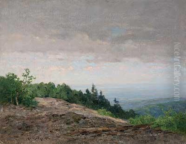 Blick In Die Mainebene Vom Altkonig Oil Painting by Nelson Gray Kinsley