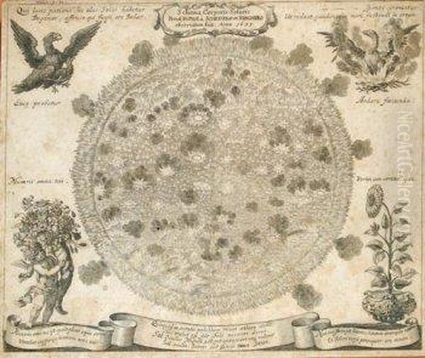 Schema Corporis Solaris Oil Painting by Athanasius Kircher