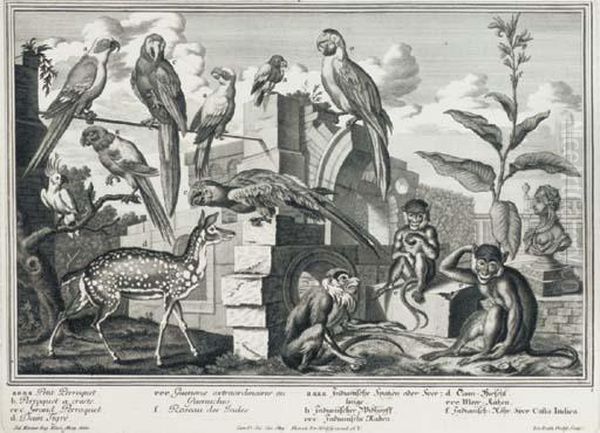 10 Plates From Representation Des Animaux De La Menagerie Des.a.s.francois De Savoye Et De Piemont Oil Painting by Salomon Kleiner