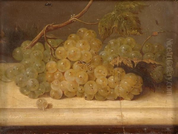 Traubenstilleben Mit Insekten. Oil Painting by Johann Kneipp