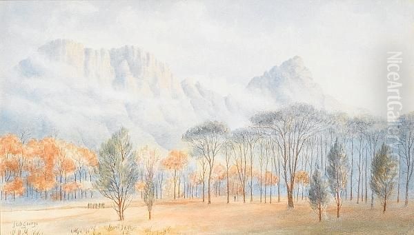 Table Mountain From Newlands Oil Painting by William George Knight