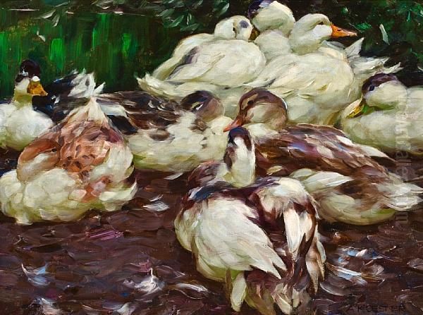 Enten Oil Painting by Alexander Max Koester