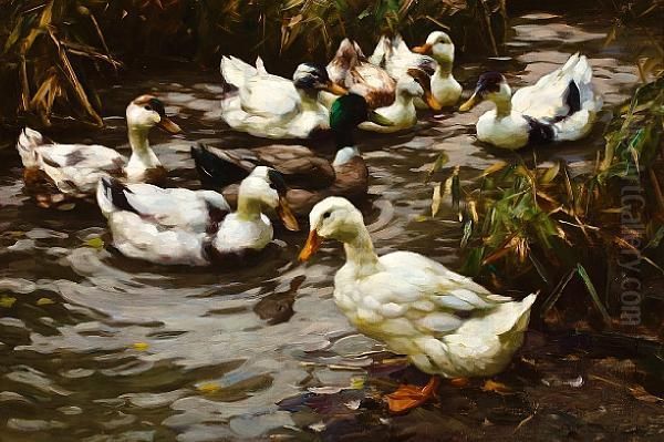 The Duck Pond Oil Painting by Alexander Max Koester