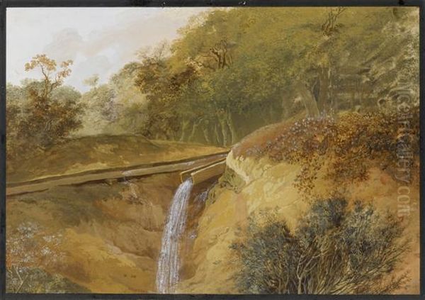 Landscape Study Oil Painting by Johann Jakob Koller