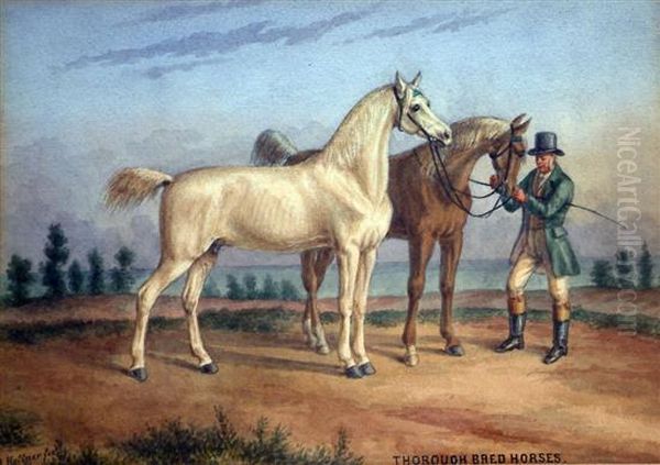 Thorough Bred Horses Oil Painting by Augustus Kollner