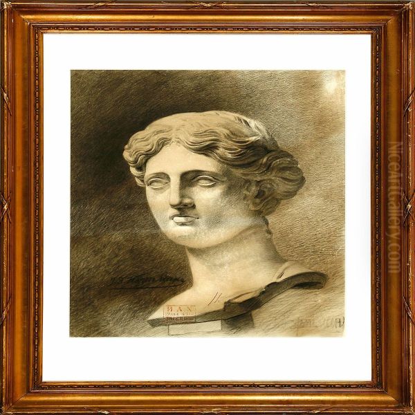 Classical Academy Drawing Depicting A Bust Of A Woman Oil Painting by Johan Kortman