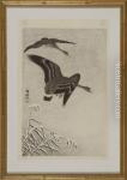 Geese In Flight Above Snow-covered Grasses Oil Painting by Ohara Koson