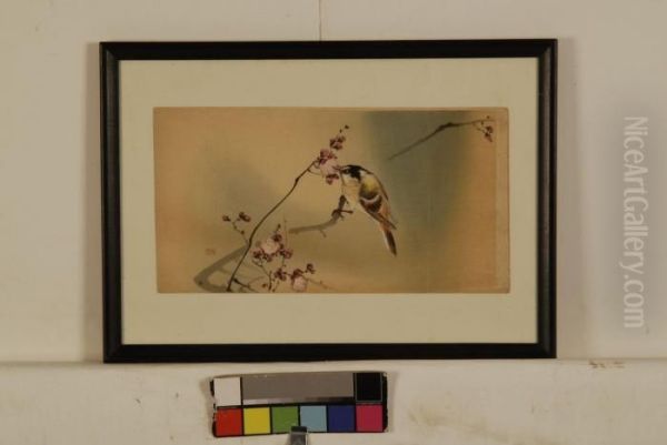 Songbird On A Prunus Branch Oil Painting by Ohara Koson