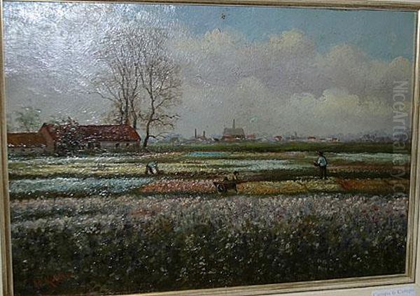 Bloembollenvelden. Oil Painting by Anton Lodewijk Koster