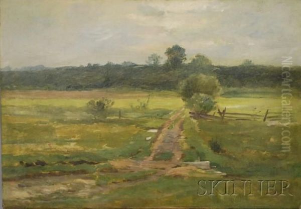 Path Through A Meadow Oil Painting by Daniel Kotz