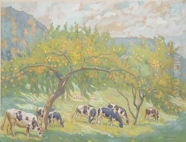 Cows Grazing In Orchard Oil Painting by Daniel Kotz