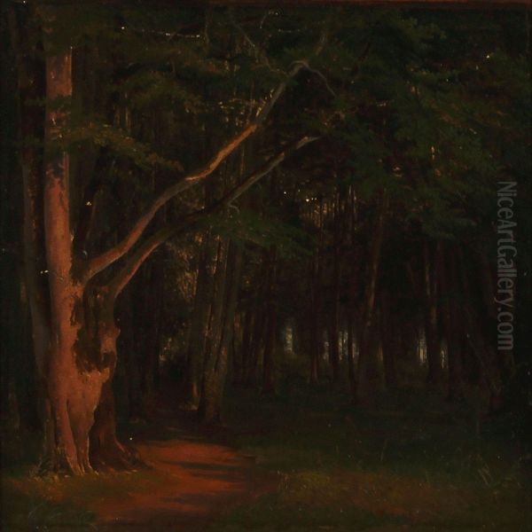 Det Indre Af En Bogeskov Oil Painting by Frederik Kraft