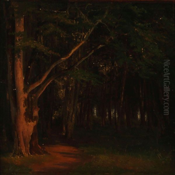 Det Indre Af En Bogeskov. 
Aftensol Oil Painting by Frederik Kraft