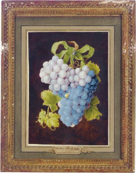 A Bird Eating Grapes; And A Companion Work Oil Painting by J. Kraij