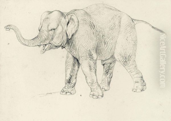 A Preparatory Study Of An Elephant For Brehms Tierleben Oil Painting by Robert Kretschmer