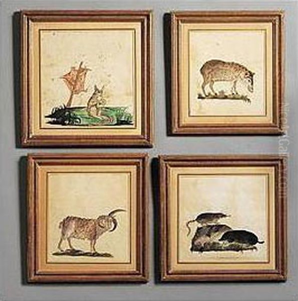 Two Watercolors Depicting Rodents, Signed Robert Kretschmer Cheivonitis Variegatus Ill.; Together With Six Similar Rodent Watercolors. All Within Giltwood Frames. (8 Pieces) Oil Painting by Robert Kretschmer