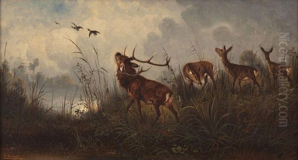 Rotwild Am Seeufer Oil Painting by Christian Johann Kroner