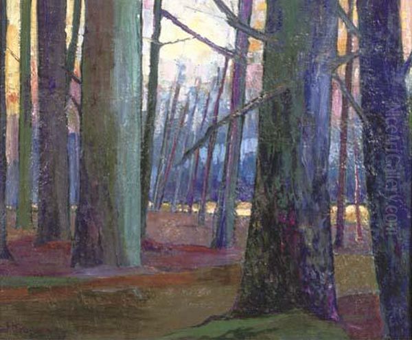 A Forest Oil Painting by Jan Kruysen