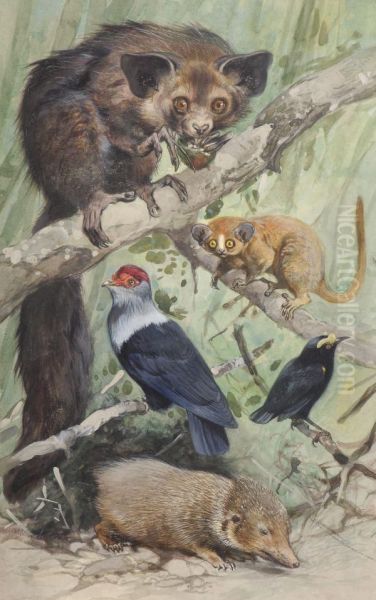 Madagascan Animals Oil Painting by Wilhelm Kuhnert