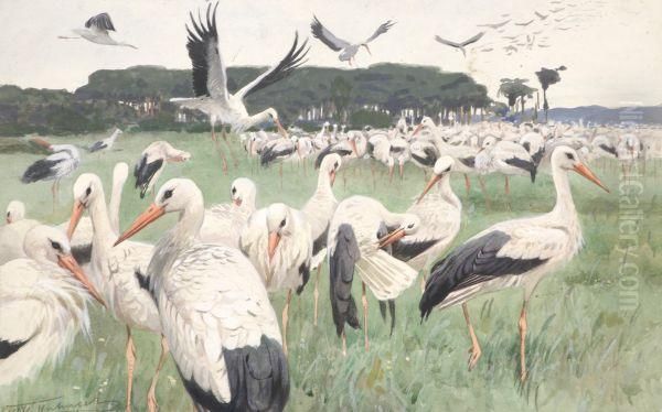 Cranes Oil Painting by Wilhelm Kuhnert