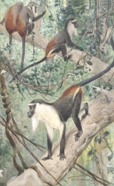 Colobus Monkeys Oil Painting by Wilhelm Kuhnert