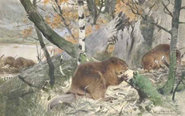 Beavers Constructing A Dam Oil Painting by Wilhelm Kuhnert