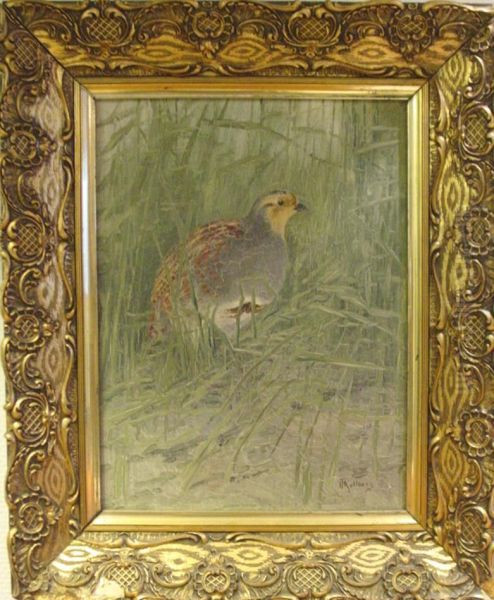 Vaktel I Hogt Gras. Oil Painting by Isak Fredrik Kullberg