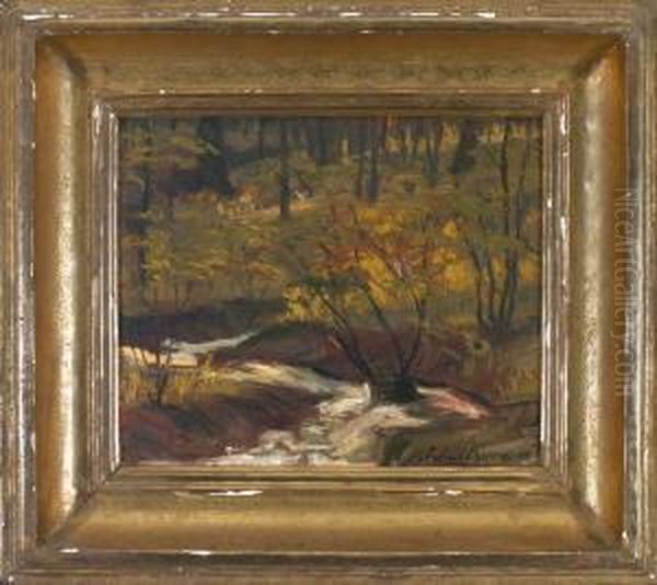 Bachlein Imherbstlichen Waldinneren Oil Painting by Julius Kurz