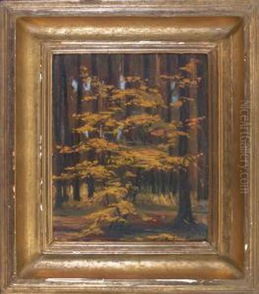 Herbstlicheswaldinneres Oil Painting by Julius Kurz