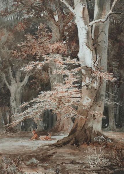 Hirsche Im Wald Oil Painting by Martinus Antonius Kuytenbrouwer