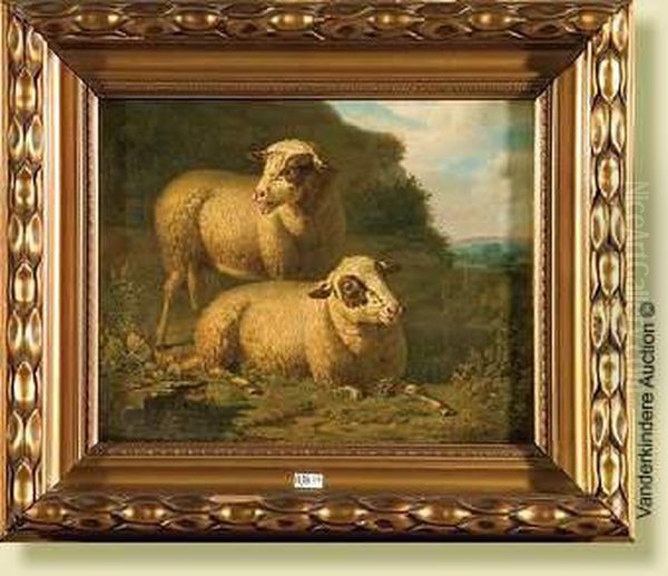 Moutons Au Pre Oil Painting by Martinus Antonius Kuytenbrouwer