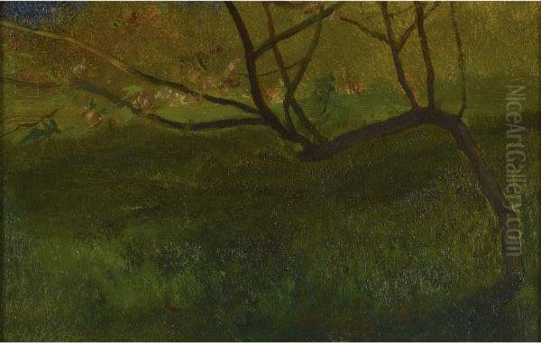 Study Of Apple Tree. Spring Oil Painting by John La Farge