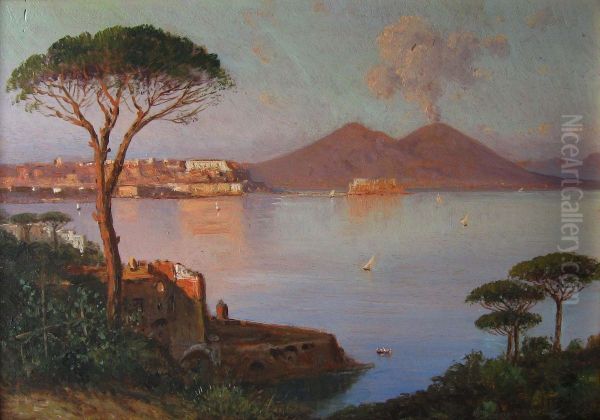 Golfo Di Napoli Con Il Vesuvio Oil Painting by Alessandro la Volpe