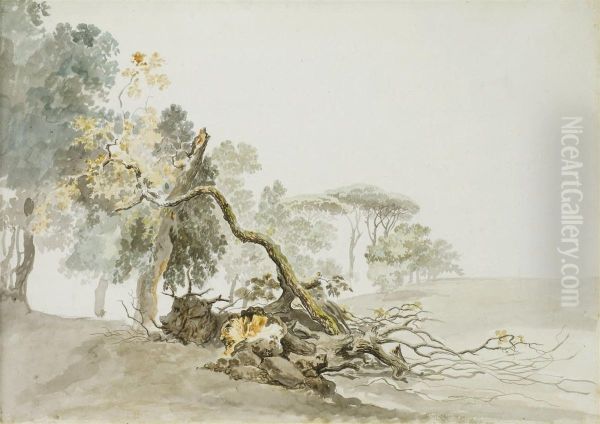 Etudes D'arbres Et De Troncs Oil Painting by Carlo Labruzzi