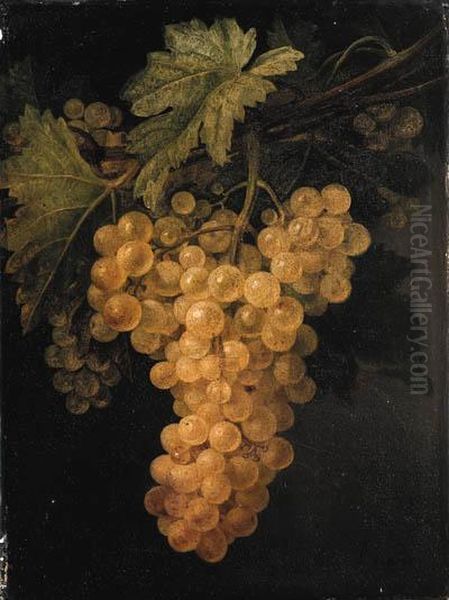 A Bunch Of White Grapes On The Vine Oil Painting by Francisco Lacoma Y Fontanet