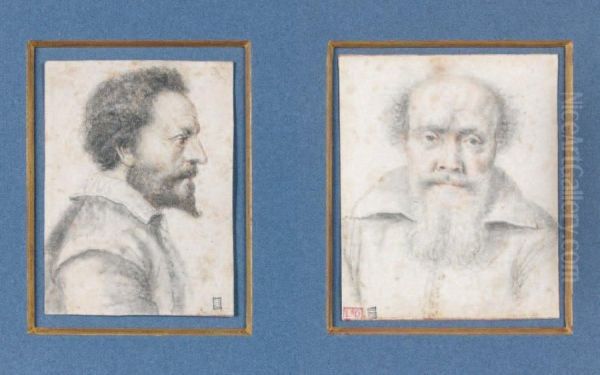 Deux Portraits D'hommes Barbus Sur Lememe Montage Oil Painting by Nicolas Lagneau