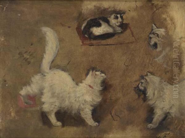 Etudes De Chats Oil Painting by Louis Eugene Lambert