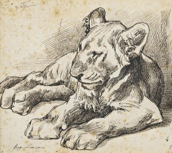 Study Of A Lion Cub Oil Painting by Auguste Lancon