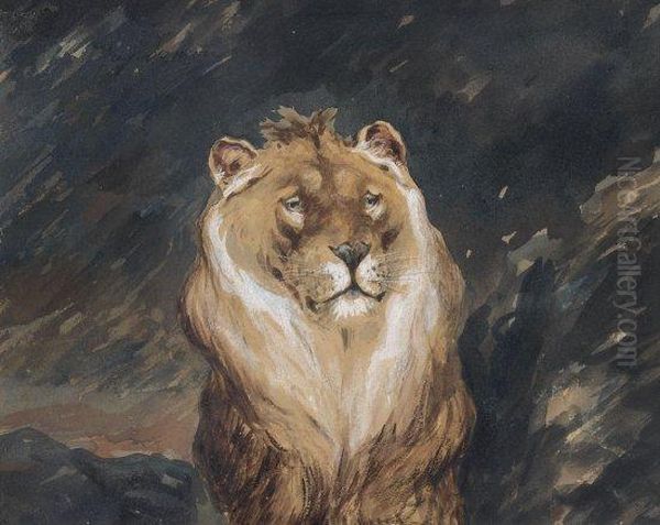 Etude De Lion Oil Painting by Auguste Andre Lancon