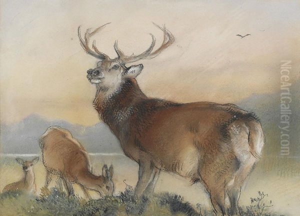 A Stag And Two Hinds Before A Loch Oil Painting by Landseer, Sir Edwin