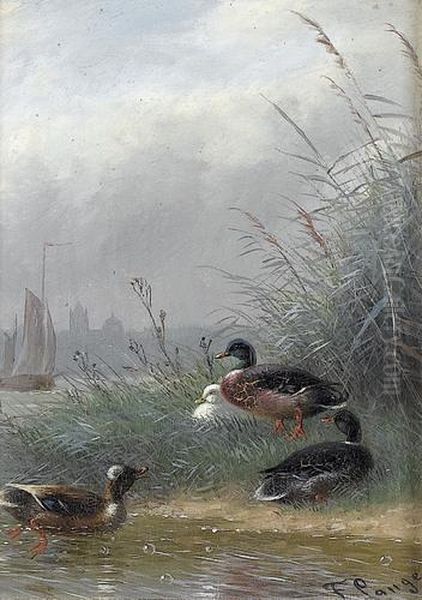 Enten An Einem Flussufer Mit Schilf Oil Painting by Fritz Lange