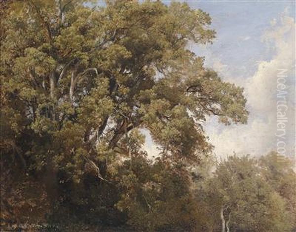 Tree Tops Oil Painting by Julius Lange