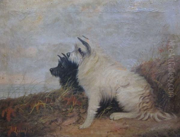 Black And White Terriers Looking Out To Sea Oil Painting by J. Langlois